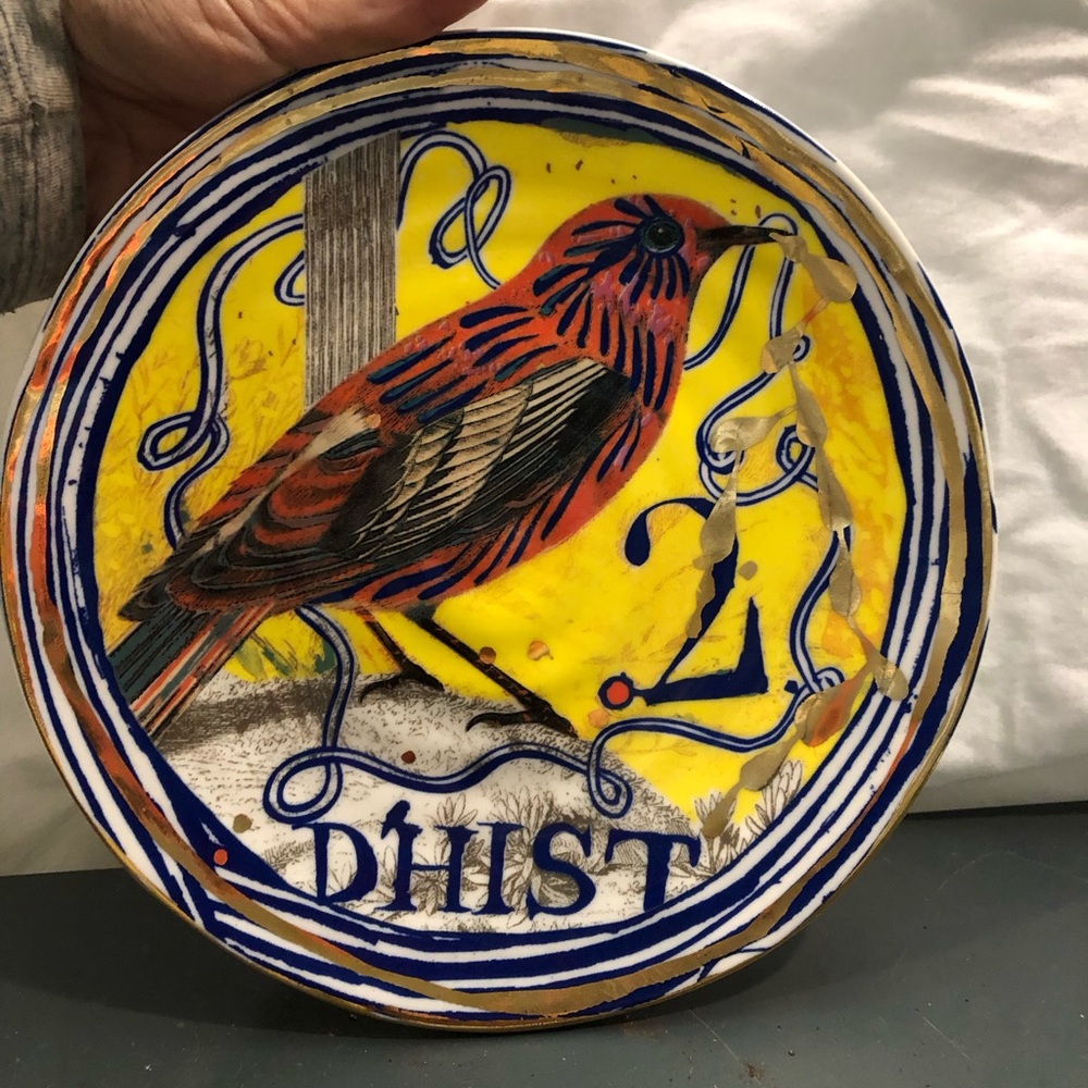 Anthropology hand painted plate.  Never used.